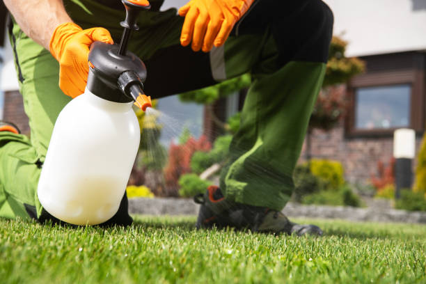 Best Flea Control Services  in Columbus, WI