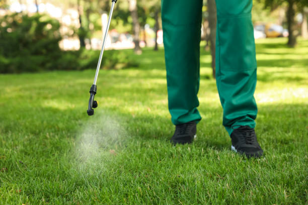 Best Cockroach Control Services  in Columbus, WI