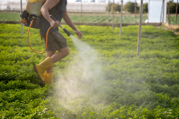 Pest Control for Restaurants in Columbus, WI