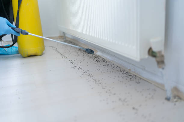 Best Rat Extermination Near Me  in Columbus, WI