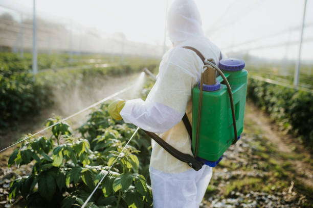 Wasp Removal Services in Columbus, WI